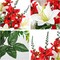 Cemetery Flowers 2pack Cemetery Decorations for Grave Funeral Flowers Artificial Lily Gladiolus Cemetery Flowers for Grave Graveyard Memorial Flowers for Gravesite Cemetery Headstones -Red and White